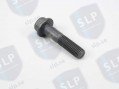 FLANGE SCREW