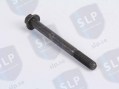 FLANGE SCREW