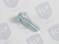 FLANGE SCREW