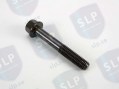 FLANGE SCREW